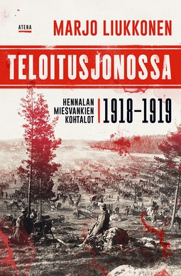 Liukkonen, Marjo - Teloitusjonossa: Hennalan miesvankien kohtalot 1918-1919, e-bok