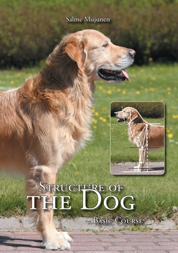 Mujunen, Salme - Structure of the Dog: Basic Course, ebook