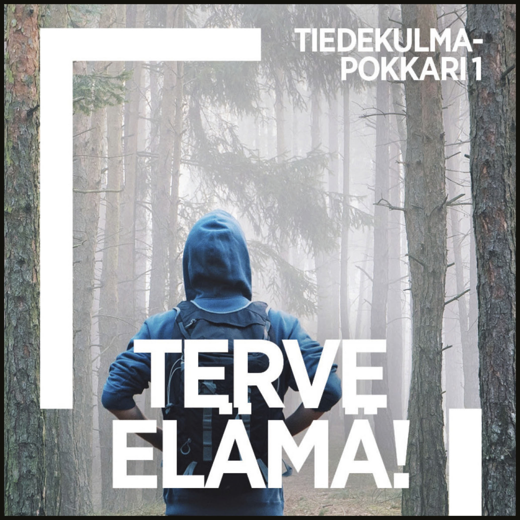 Piiparinen, Anniina - Terve elämä!, audiobook