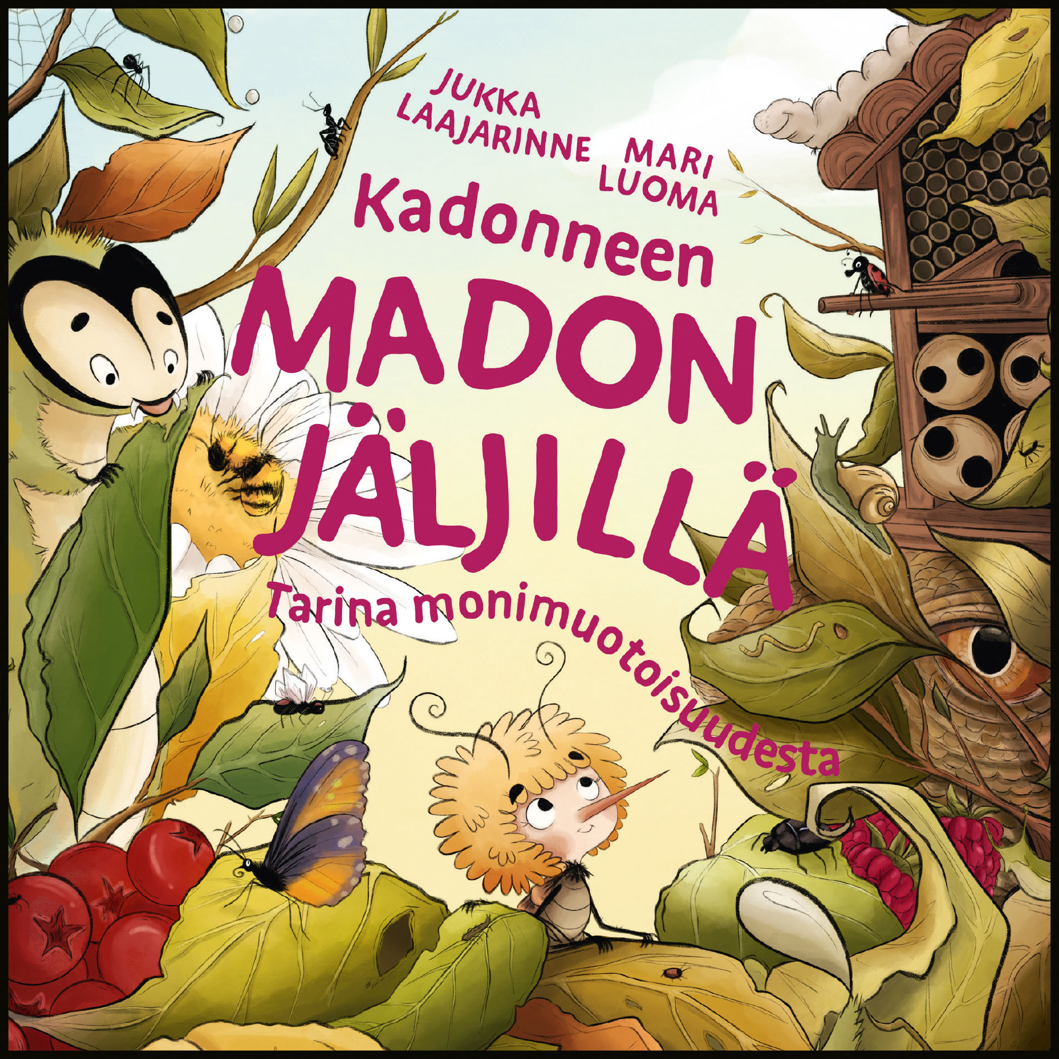 Laajarinne, Jukka - Kadonneen madon jäljillä, äänikirja