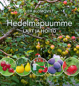 Blomqvist, Leif - Hedelmäpuumme: Lajit ja hoito, ebook