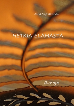 Vepsäläinen, Juha - Hetkiä elämästä, e-bok