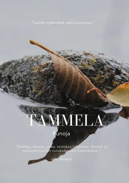 Heino, Markku - Tammela, ebook