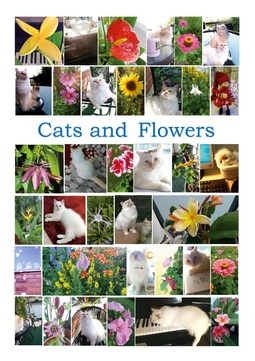 Király, Susanna - Cats and Flowers: 35 children song games, ebook