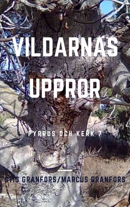 Granfors, Marcus - Vildarnas uppror Pyrrus och Kerk 7, ebook