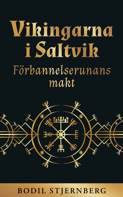 Stjernberg, Bodil - Vikingarna i Saltvik: Förbannelserunans makt, ebook